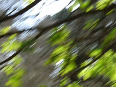 Abstrakt Bewegungsunschärfe.jpg