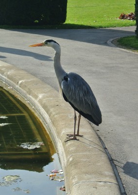 Besucher der Wilhelma.JPG
