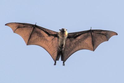 2012-Sri Lanka-01042012-1007-283.jpg