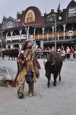 _DSC3969ed Indianer und Bison.jpg