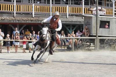 _DSC3374ed der Moderator der Show reitet ein.jpg
