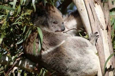 P1000820 (512x341).jpg