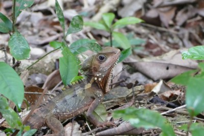 P1020219 (512x341).jpg