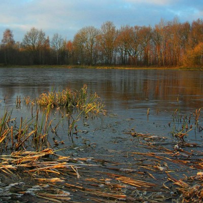 DSCN9941ed boettcherei.JPG