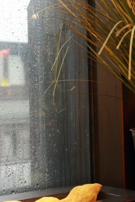 IMG_0642gewi (Andere).JPG