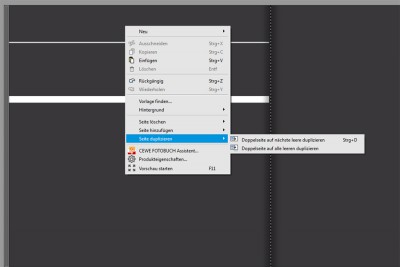 Duplizieren Kopie.jpg