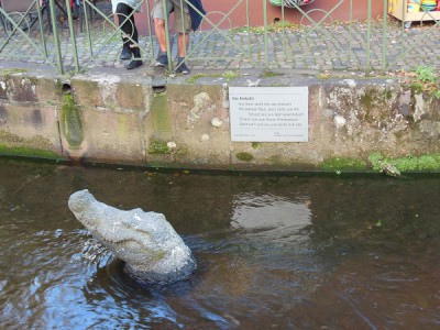 Krokodil im Bach - Freiburg.jpg