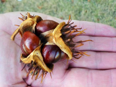 Am Birkhof (12) klein.jpg