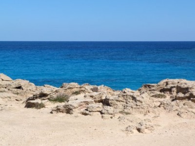 Blau gegen Braun.jpg