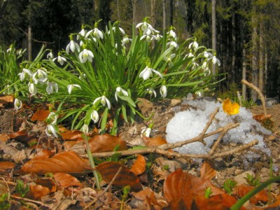 frühlingundherbst 1_3.JPG
