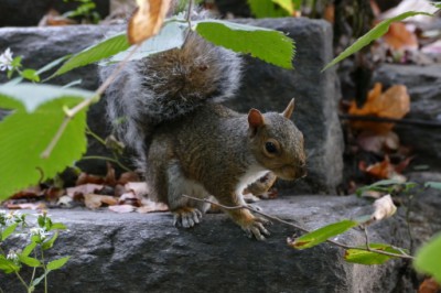 P1060762 (512x341).jpg