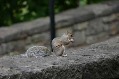 P1060652 (512x341).jpg