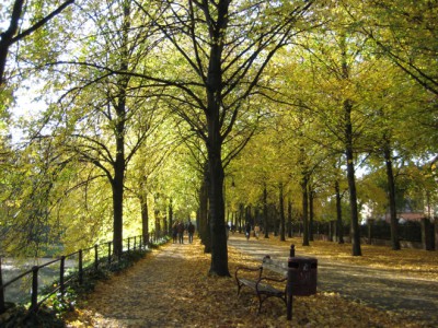 MS-Promenade-goldenerOktober.JPG