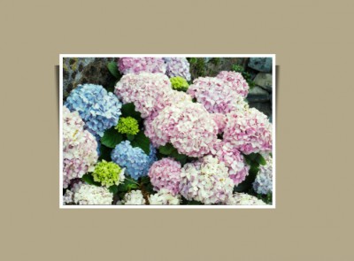 Konkaver Schatten oben.jpg