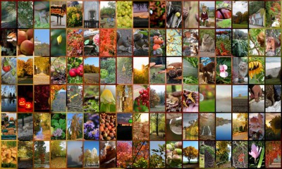 Challenge 10-15 Sammler & Jäger.jpg