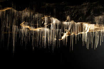 Waitomo Caves Lots of Glowworm Lines (FILEminimizer).jpg