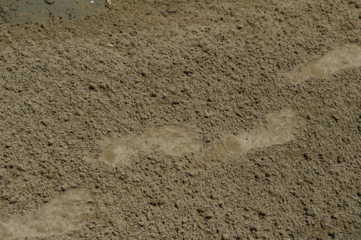 3_22.11 (48) (FILEminimizer).JPEG