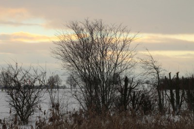 IMG_1072 (Andere).JPG