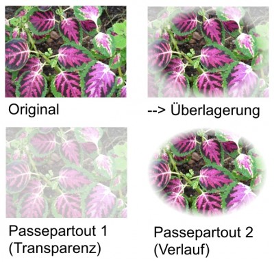 Passepartoutueberlagerung.jpg