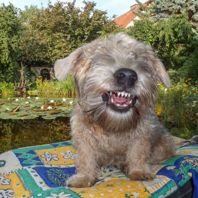 2015-Susi Supka-20150820-71.jpg