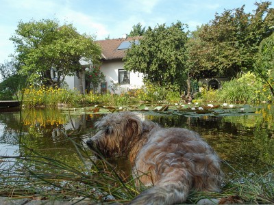 2015-Susi Supka-20150820-54.jpg