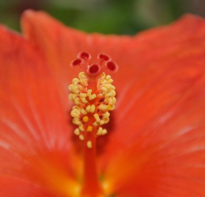 DSC04383 - Kopie_624x600.jpg