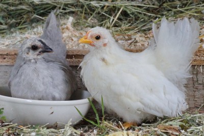 07_Bildgröße ändern.JPG