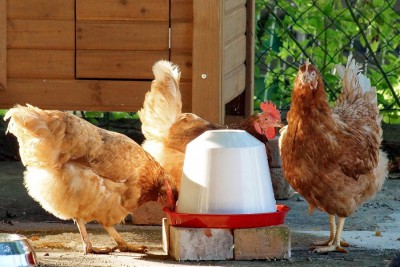 06_Bildgröße ändern.JPG