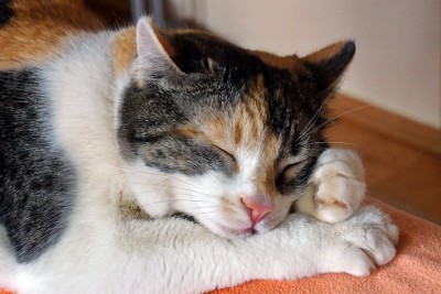 05_Bildgröße ändern.JPG