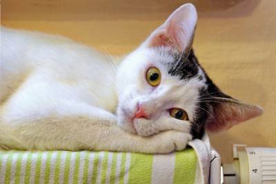 04_Bildgröße ändern.JPG