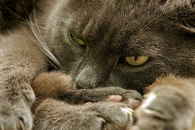 03_Bildgröße ändern.jpg