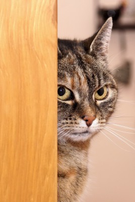 02_Bildgröße ändern.JPG