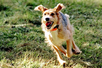 01_Bildgröße ändern.JPG