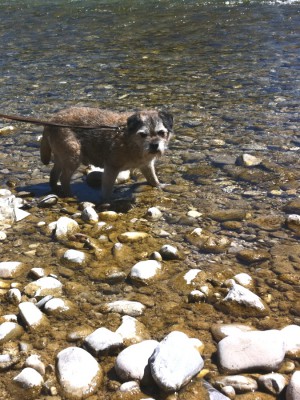 IPhone Photos Mai 2012 166.jpg