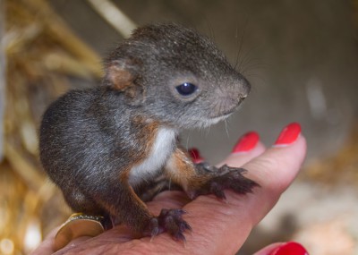 2015-Ingrid Stütz-20150719-22.jpg