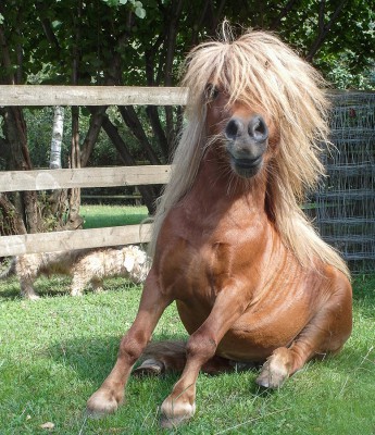 2015-Susi Supka-20150820-27.jpg