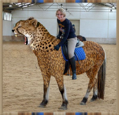 horsetiger Kopie.jpg