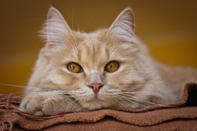 Fensterplatz1.jpg (1 von 1) Kopie.jpg