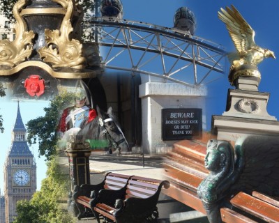 barb_AutoCollage_7_Images (Andere).jpg