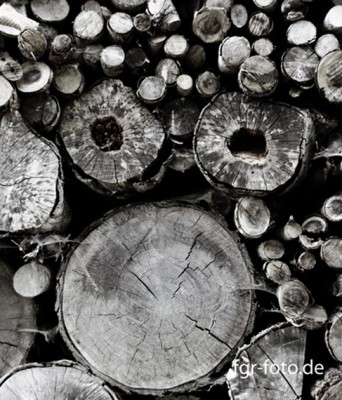 schau wieder der schaut.jpg