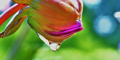 RIMG0853 - Kopie.JPG