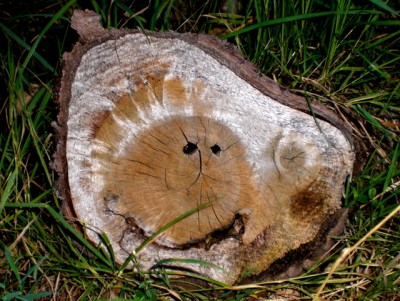 Dinge mit Gesicht.jpg