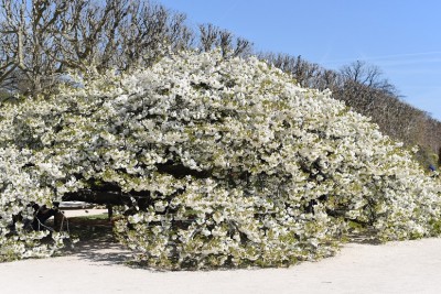 Jardin de Plants_Paris.jpg