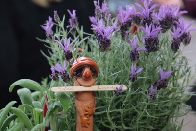 IMG_0420 (Andere).JPG