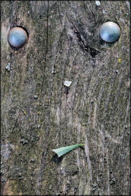 Das Bank-Gesicht.jpg