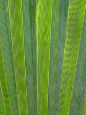 ColorBlocking (2).jpg