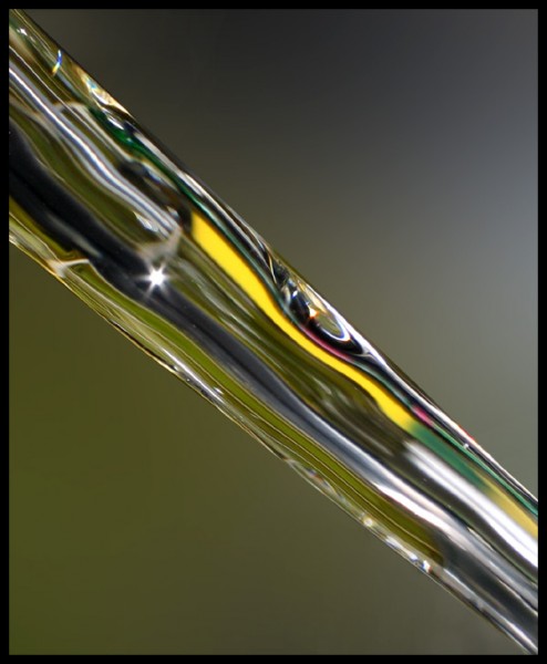 2004-12-14a 002 fc.jpg