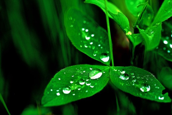 Wassertropfen klein.jpg