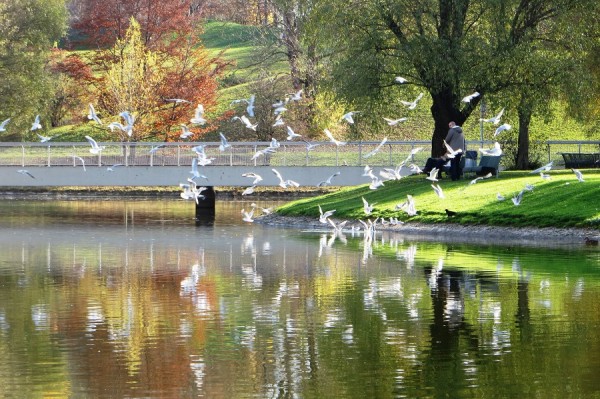 Olympiapark IMG_0187.jpg