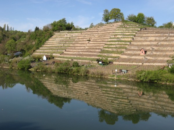 IMG_1110.jpg 900_675.jpg